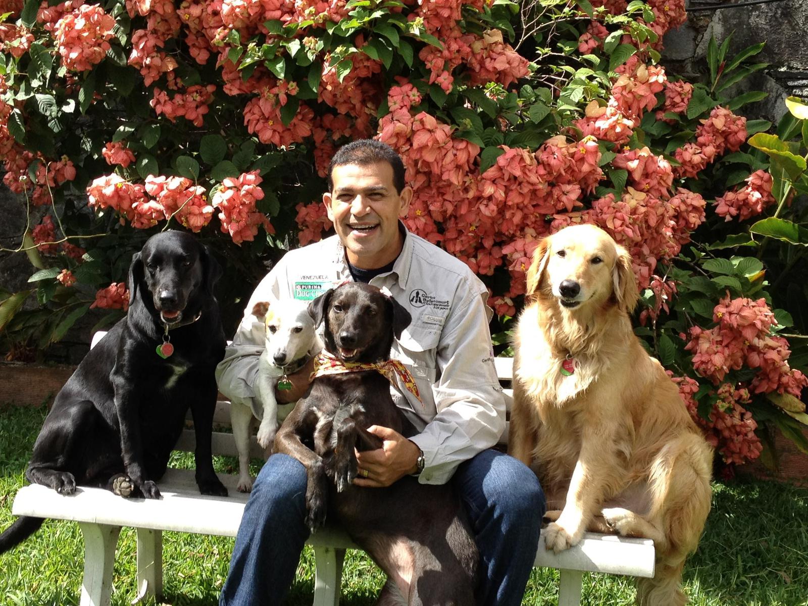 Curso 01 : ADIESTRAMIENTO CANINO / DOG TRAINING COURSE